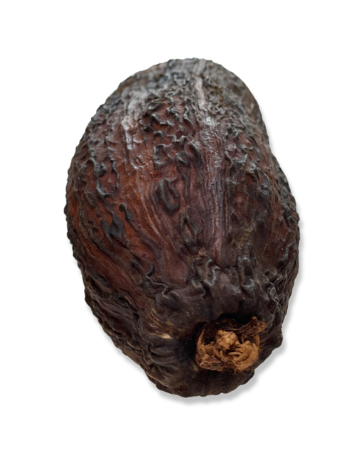 Hele uitgeholde Natuurlijk Gedroogde Cacaovruchten 10-18cm ( 4 stuks )