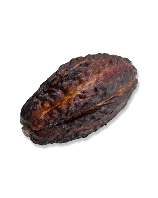 Verse Trinitario Cacaovruchten uit Equador